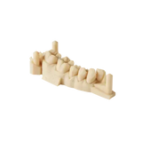 Precision Model Resin