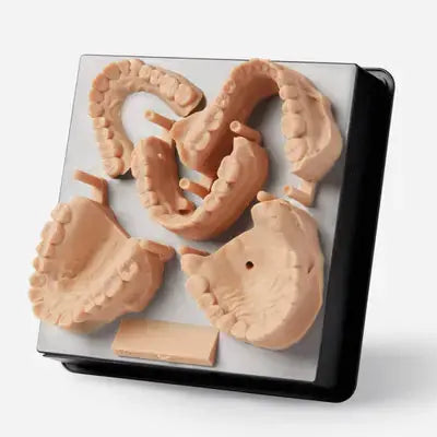 Model V2 Resin Formlabs